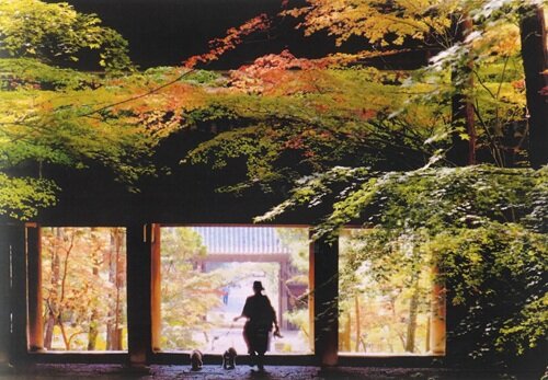 scenicphoto05.jpg